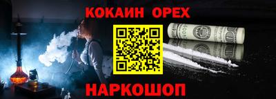 СК Гатчина