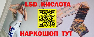 СК Гатчина