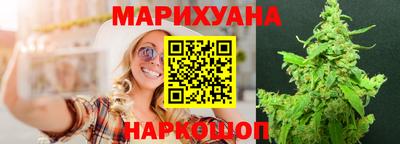 СК Гатчина