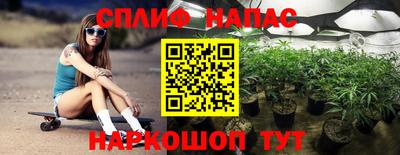 СК Гатчина