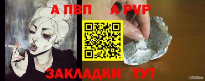СК Гатчина