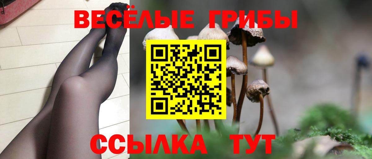Орехово-Зуево  Галлюциногенные грибы мицелий  Галлюциногенные грибы Psilocybine cubensis  Вход с VPN 